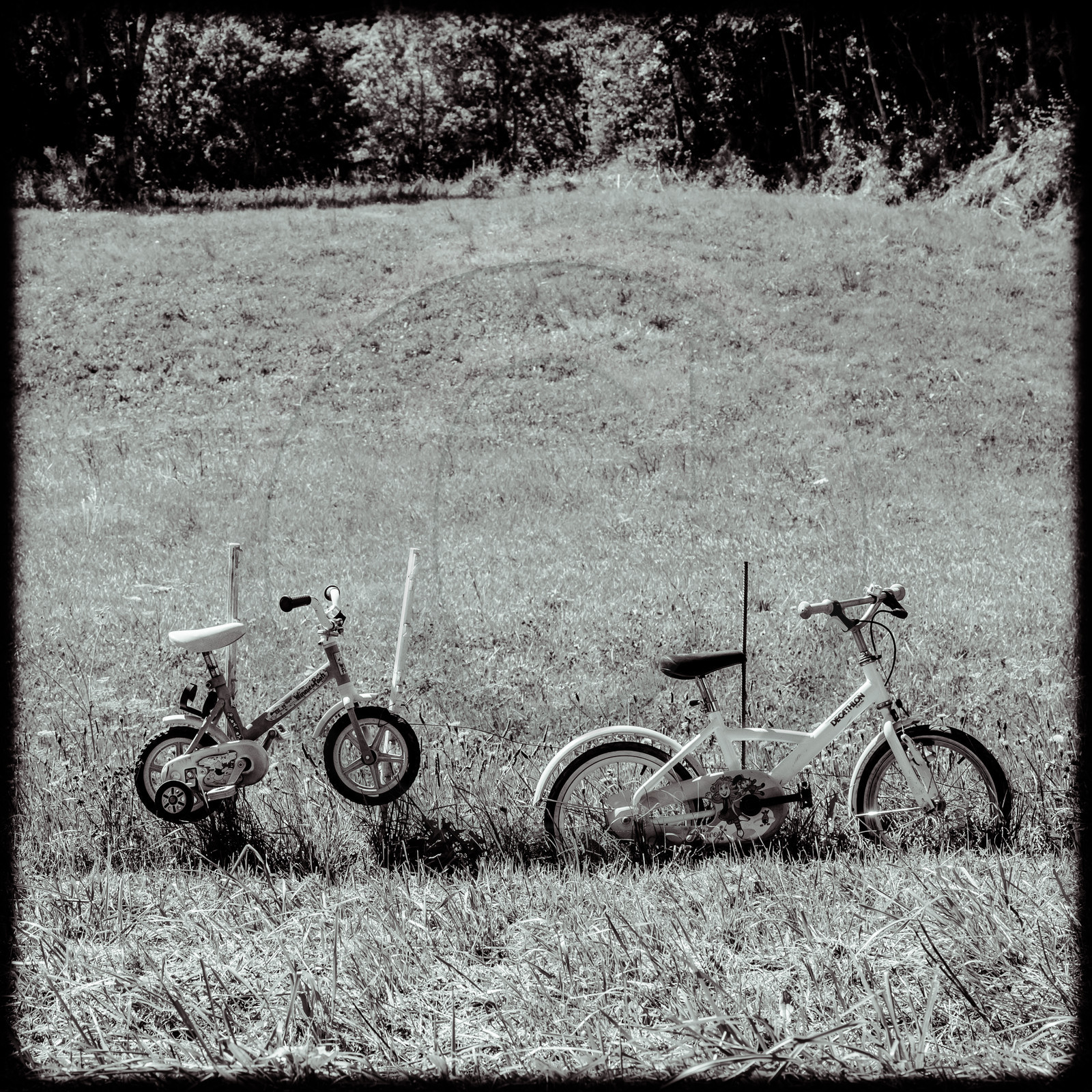 Tour de France cycliste 2020