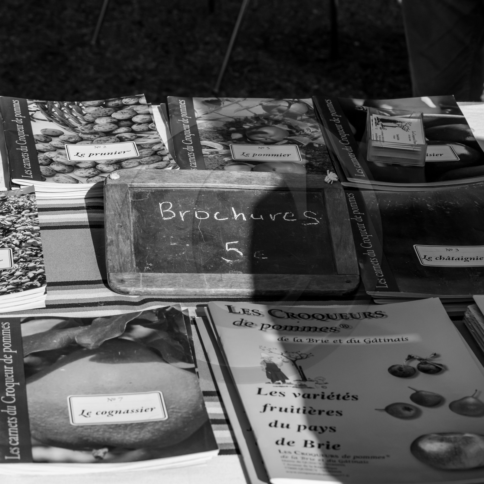 24 octobre 2021 : Fais ta soupe et ramène ta pomme