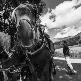 25 septembre 2019 : Promenade en calèche