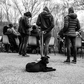 19 avril 2023 : atelier créatif Les fables de La Fontaine