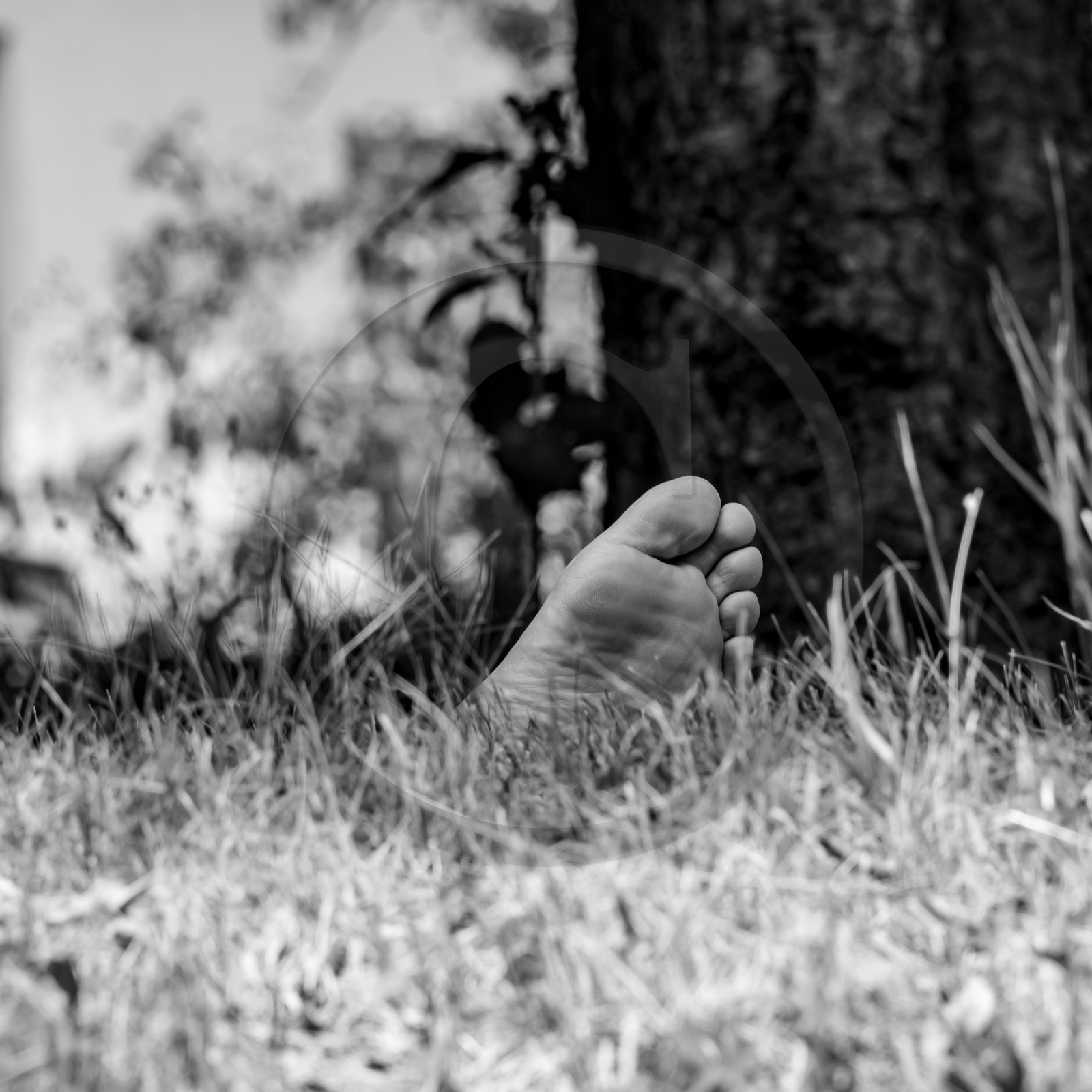 21 juillet 2021 : Sieste musicale avec Matthieu Duval