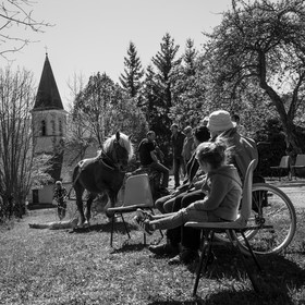 Débardage avec un cheval - 17 04 17