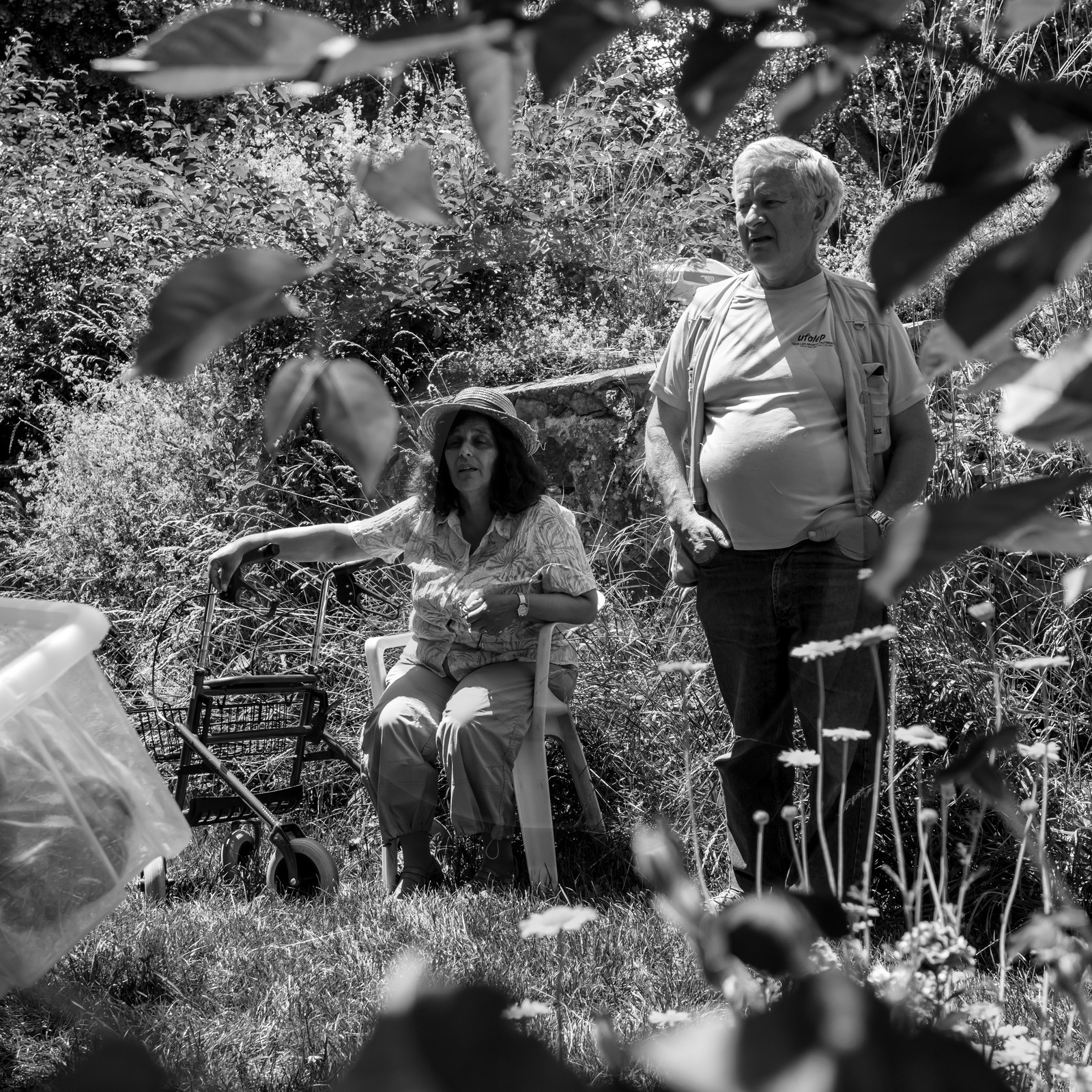 Animations au jardin Animations au jardin