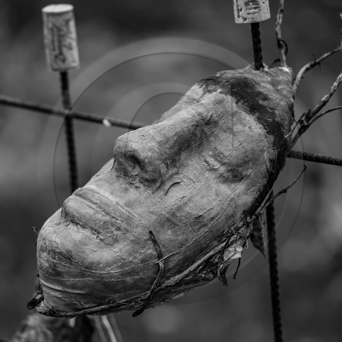 20 avril 2022 : des contes, des pommes de terre et un petit café