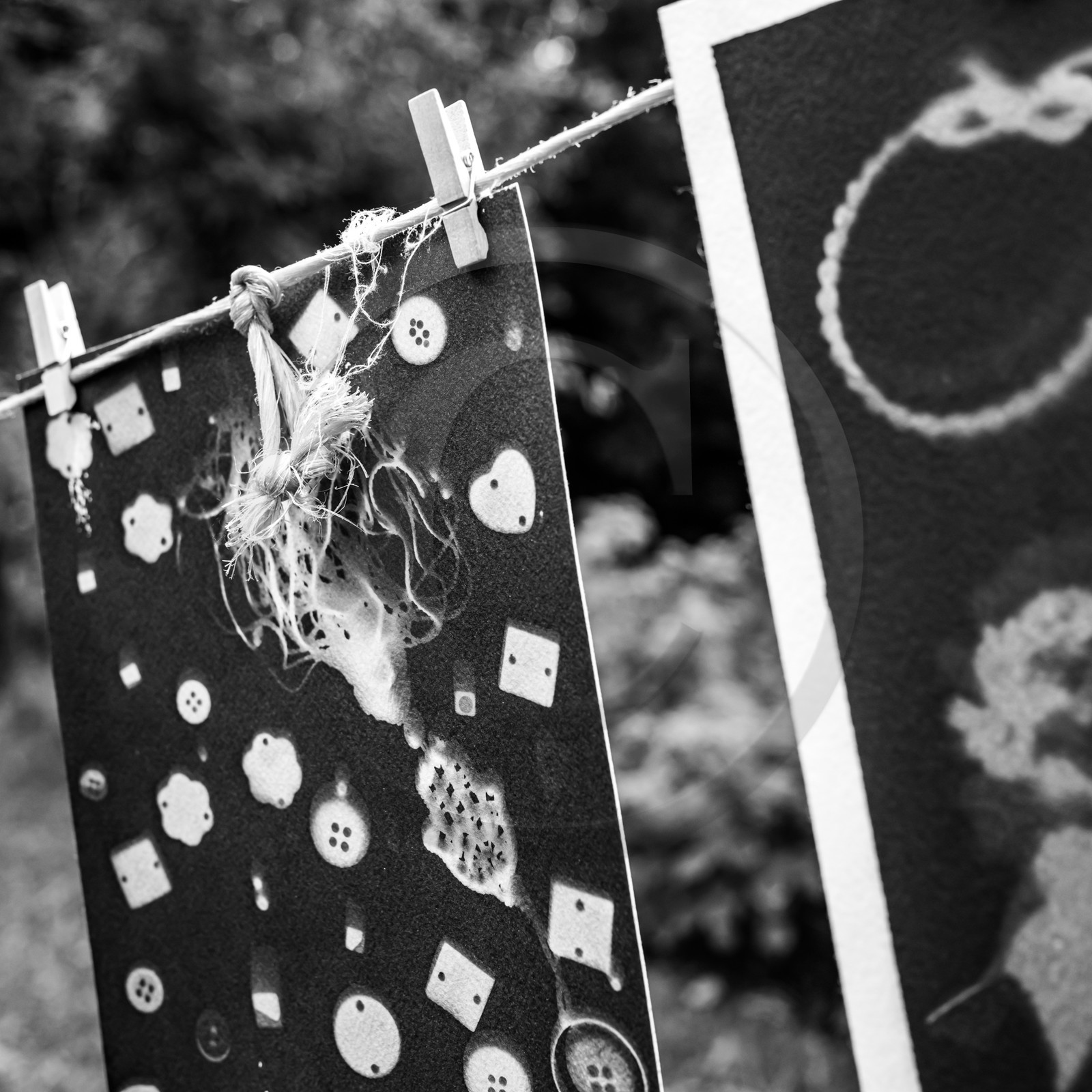 Présentation des réalisation de la saison à l'occasion de la semaine nationale des aidants - Avec la participation de Territoires Aidants