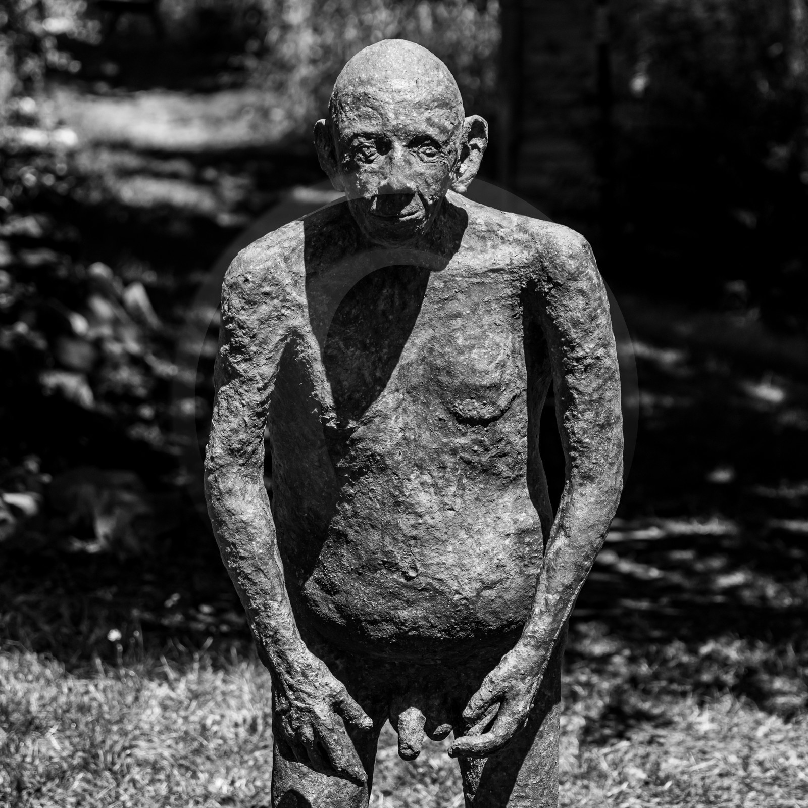 21 aout 2024 : Réalisation de Marcel Joli Coeur, l'homme de l'Ouort avec Barbara Fougnon, artiste plasticienne, et un anniversaire en chansons.