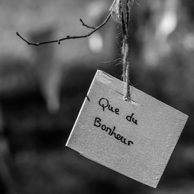 L'écho des mots