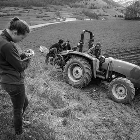 La plantation des pommes de terre