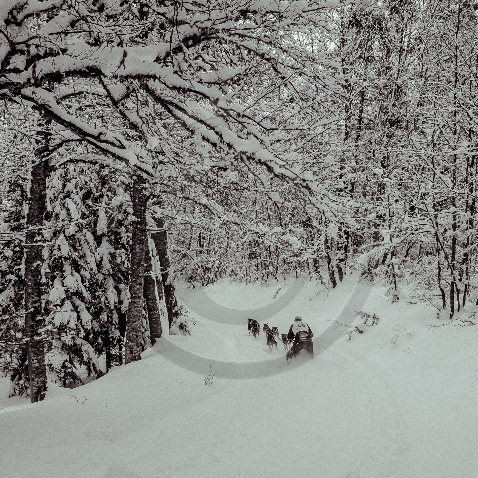 La Valgaude Traineau 2015