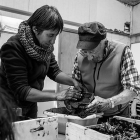 Atelier repiquage et semis - 26 04 2017