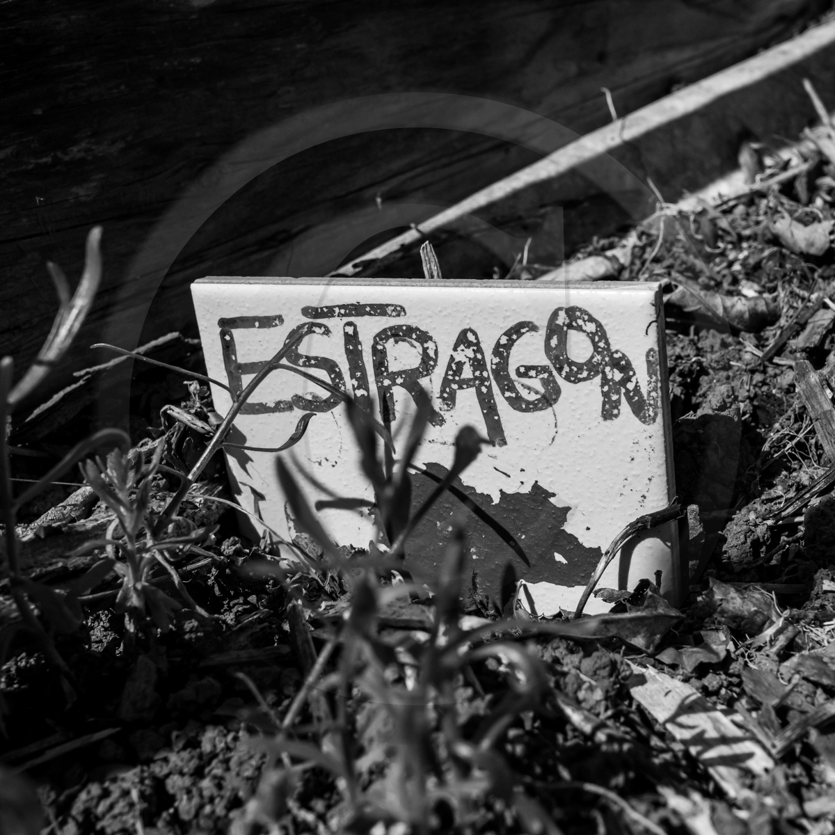 Atelier laine et promenade au jardin