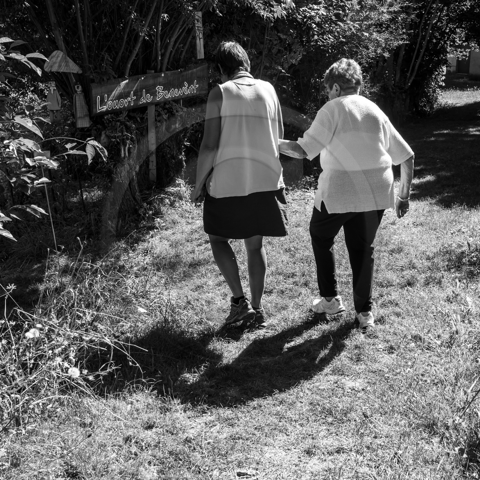 Activités au jardin Activités au jardin