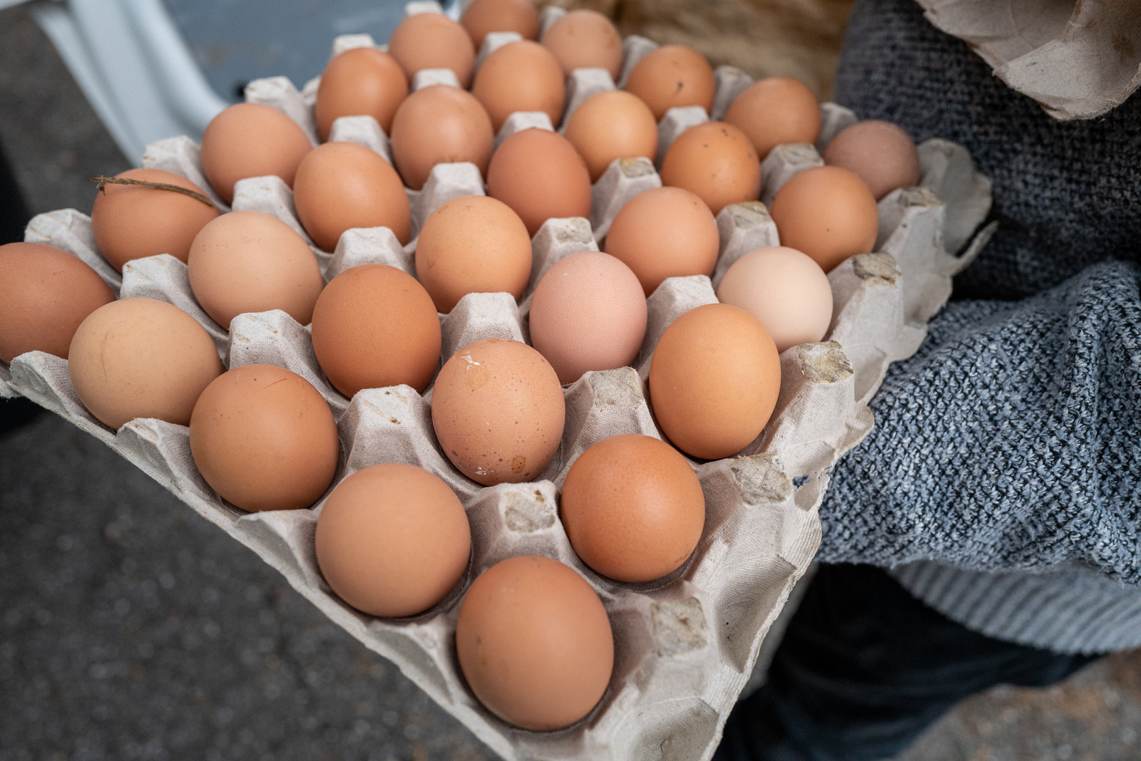 31 mai 2025 : AMAP du Champsaur - Distribution