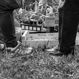 25 mai 2019 : Vide-Jardin de l'Ouort de Benevènt