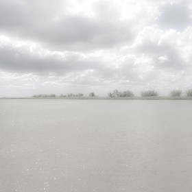 Camargue couleur pastel