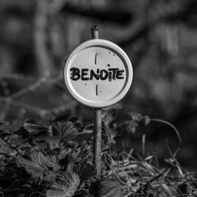 24 février 2021 : on taille, on prépare le jardin...