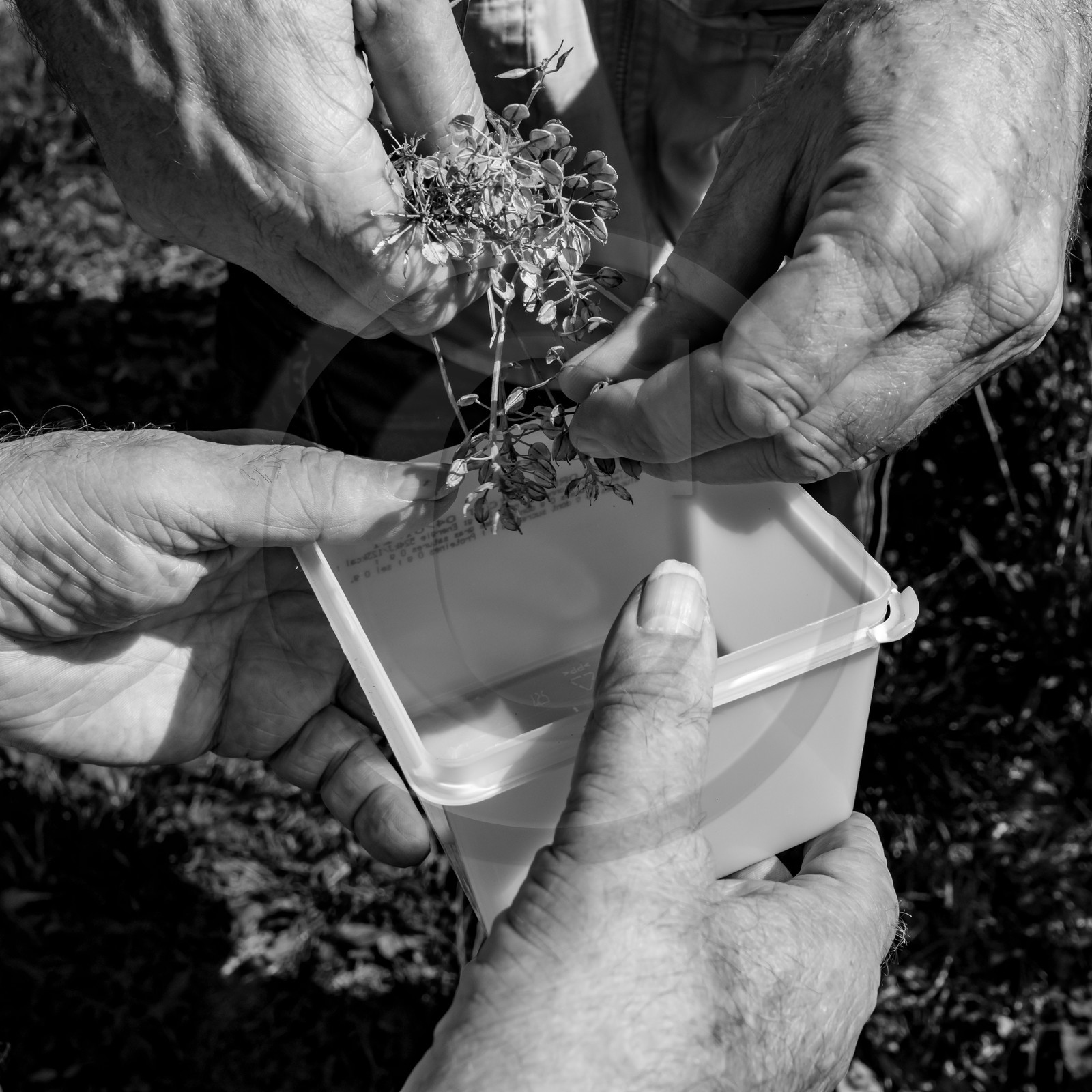 16 août 2021 : Journée des aidants