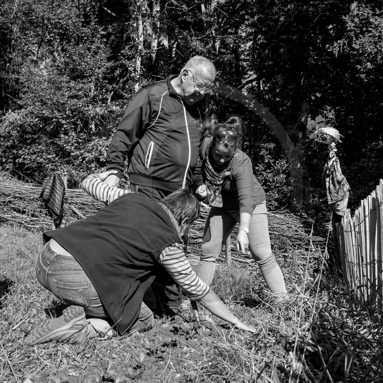 20 septembre 2017 - Jardinage