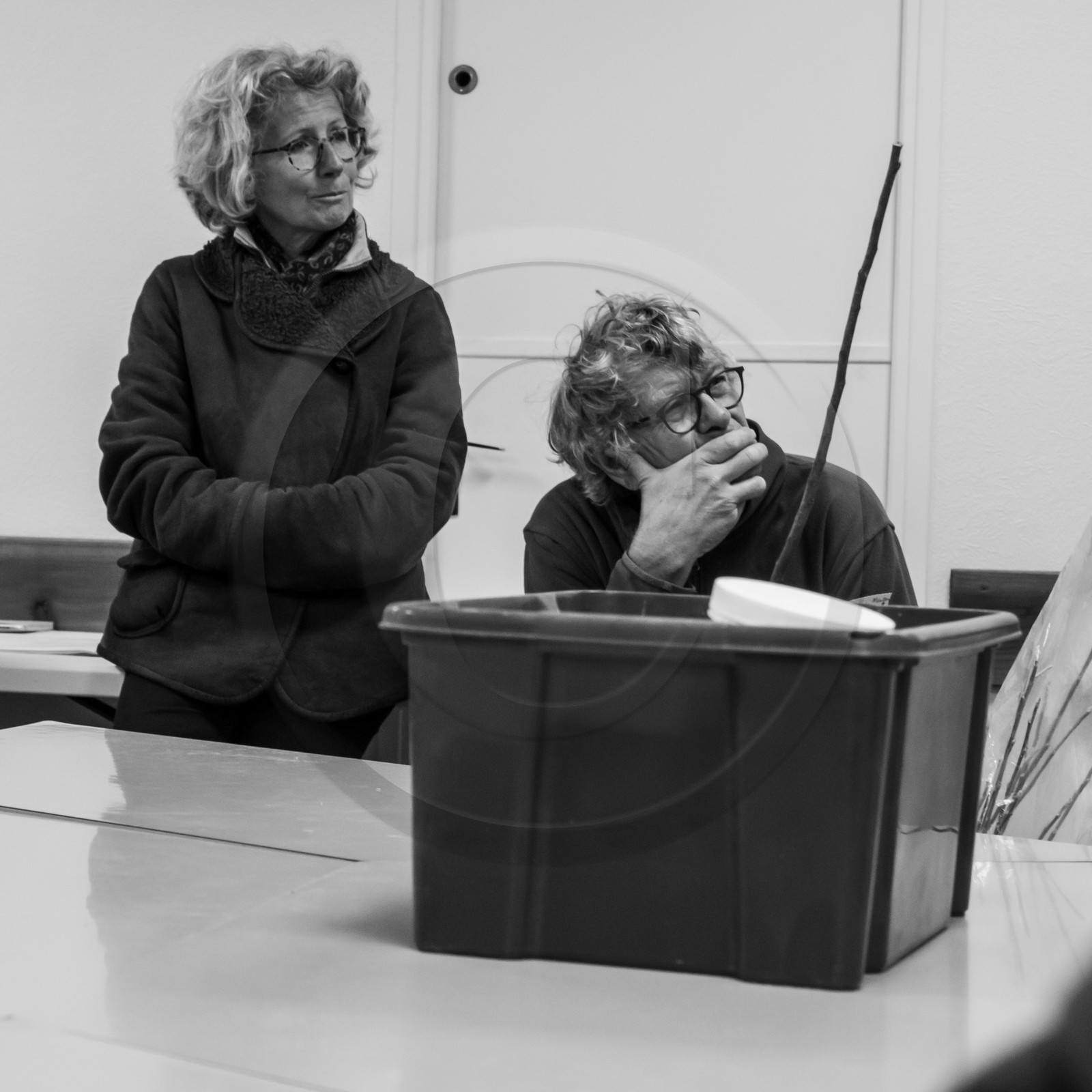 03 avril 2019 : Initiation à la greffe d'arbres fruitiers