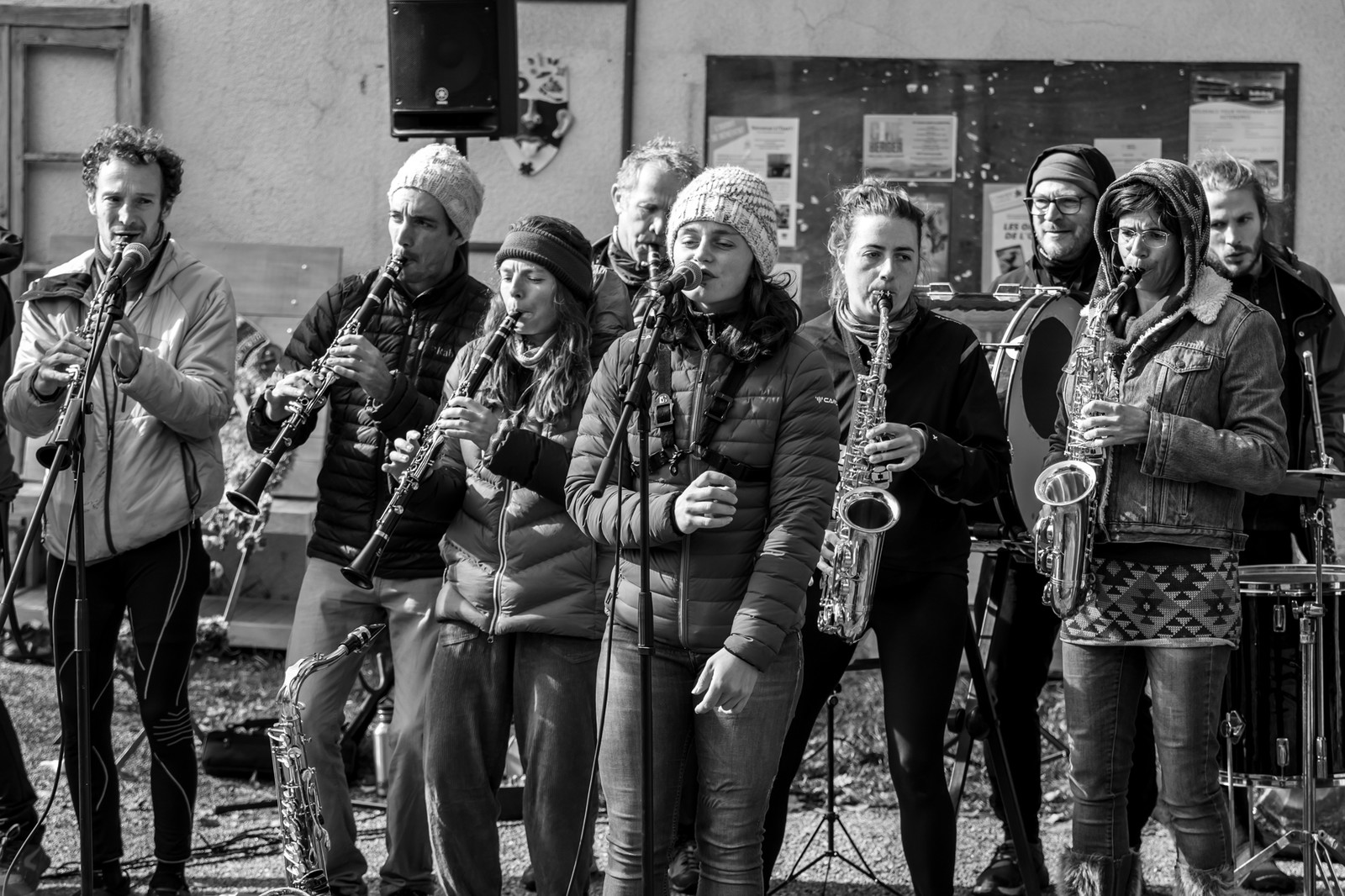 26 octobre 2025 : Les oiseaux de trottoir