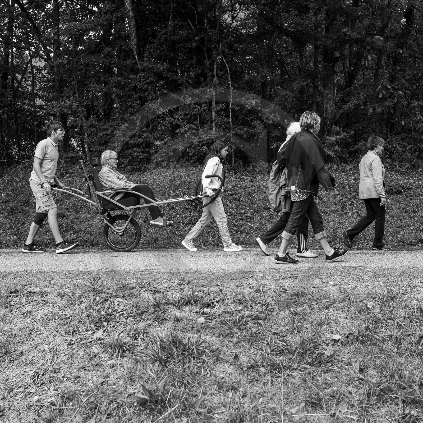 20 septembre 2023 : Promenade en joelette 20 septembre 2023 : Promenade en joelette