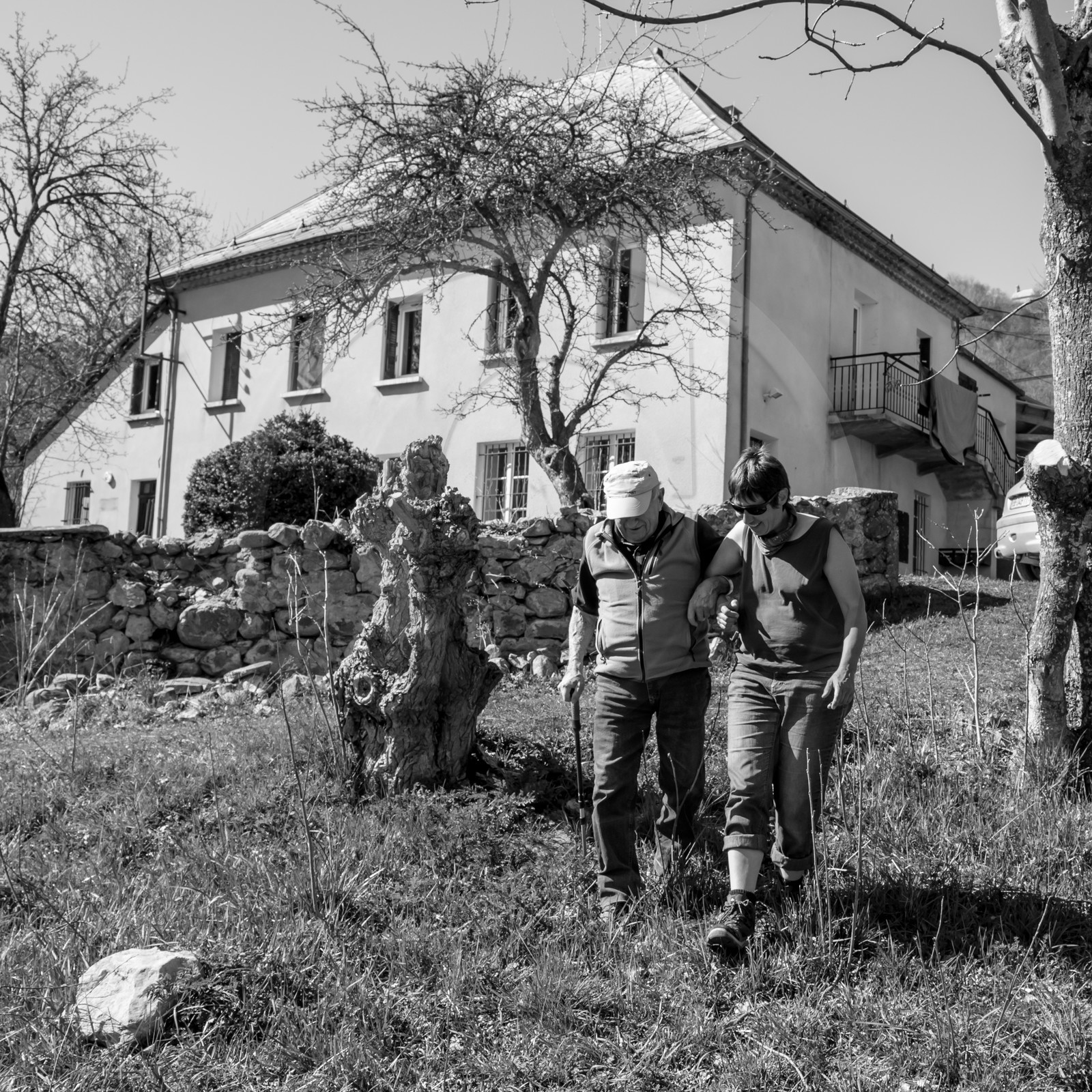 Nettoyage du terrain - Coupe du bois - 29 03 17