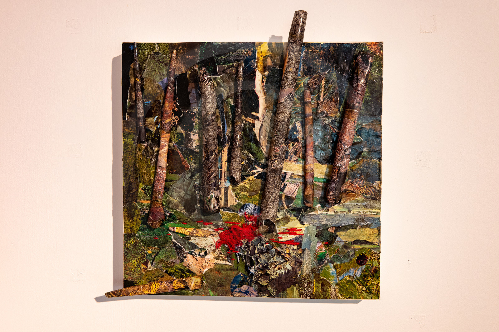 Expositions à la maison du Berger - Champoléon