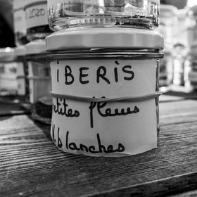 16 août 2021 : Journée des aidants