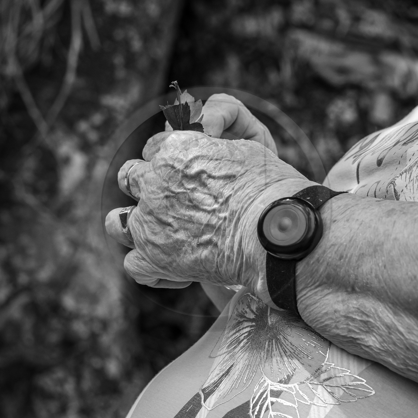 21 juin 2023 : Découverte botanique