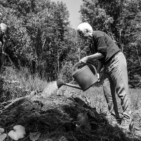 07 juin 2017 - Plantation - Haie - Réunion