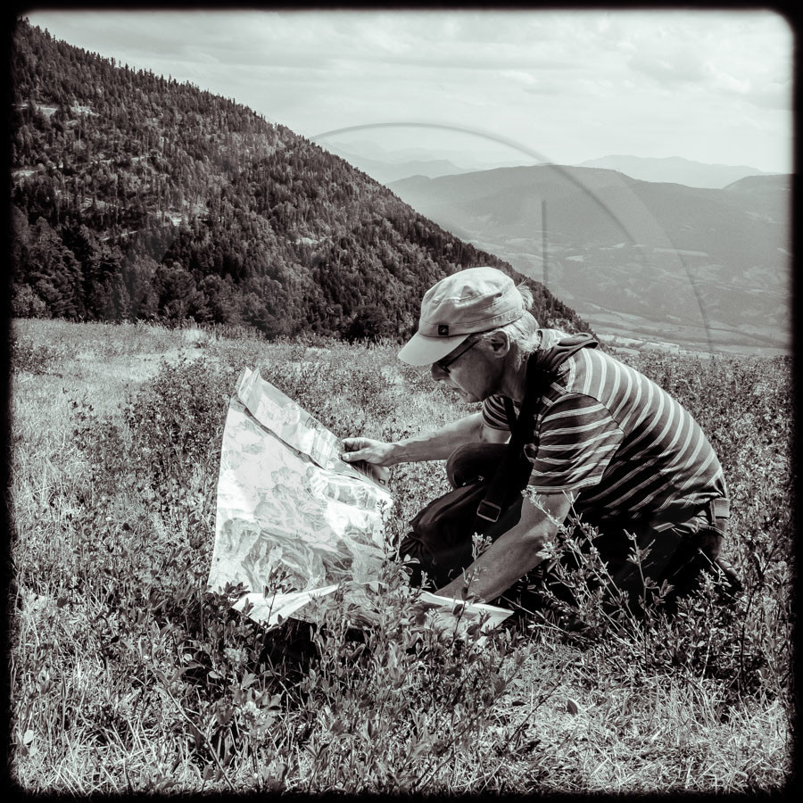 Promenade en forêt Promenade en forêt
