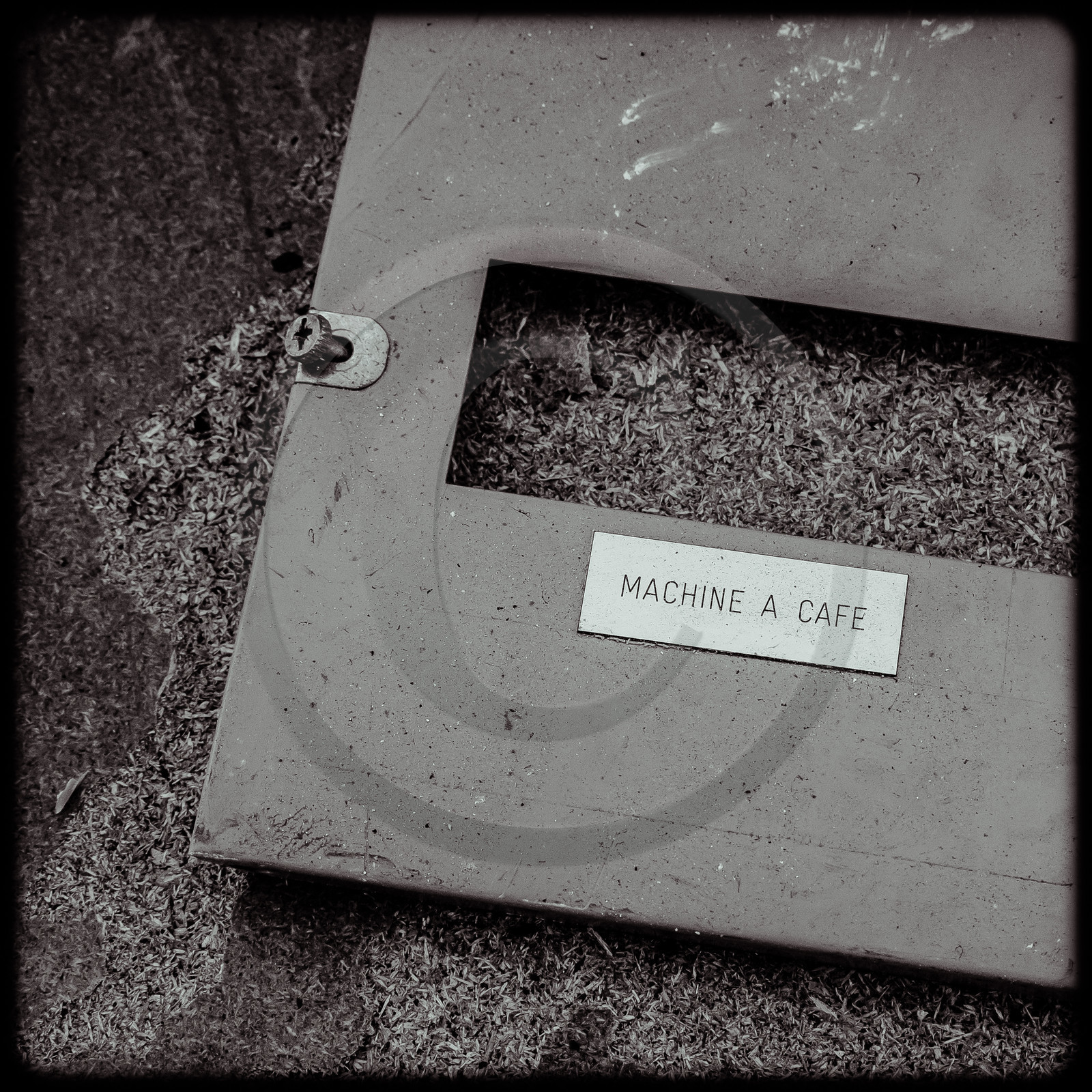 La piscine de Luminy (13) La piscine de Luminy (13)