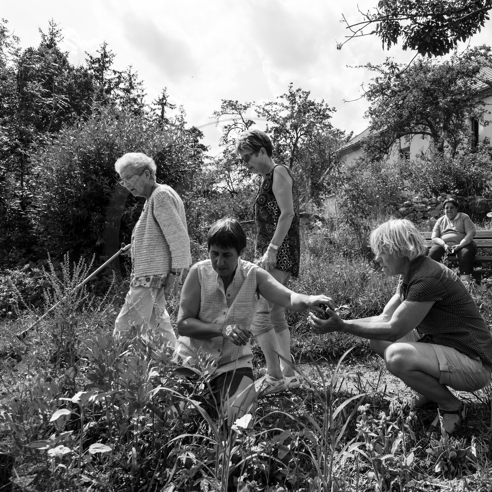 17 juillet 2019 : massages assis 17 juillet 2019 : massages assis