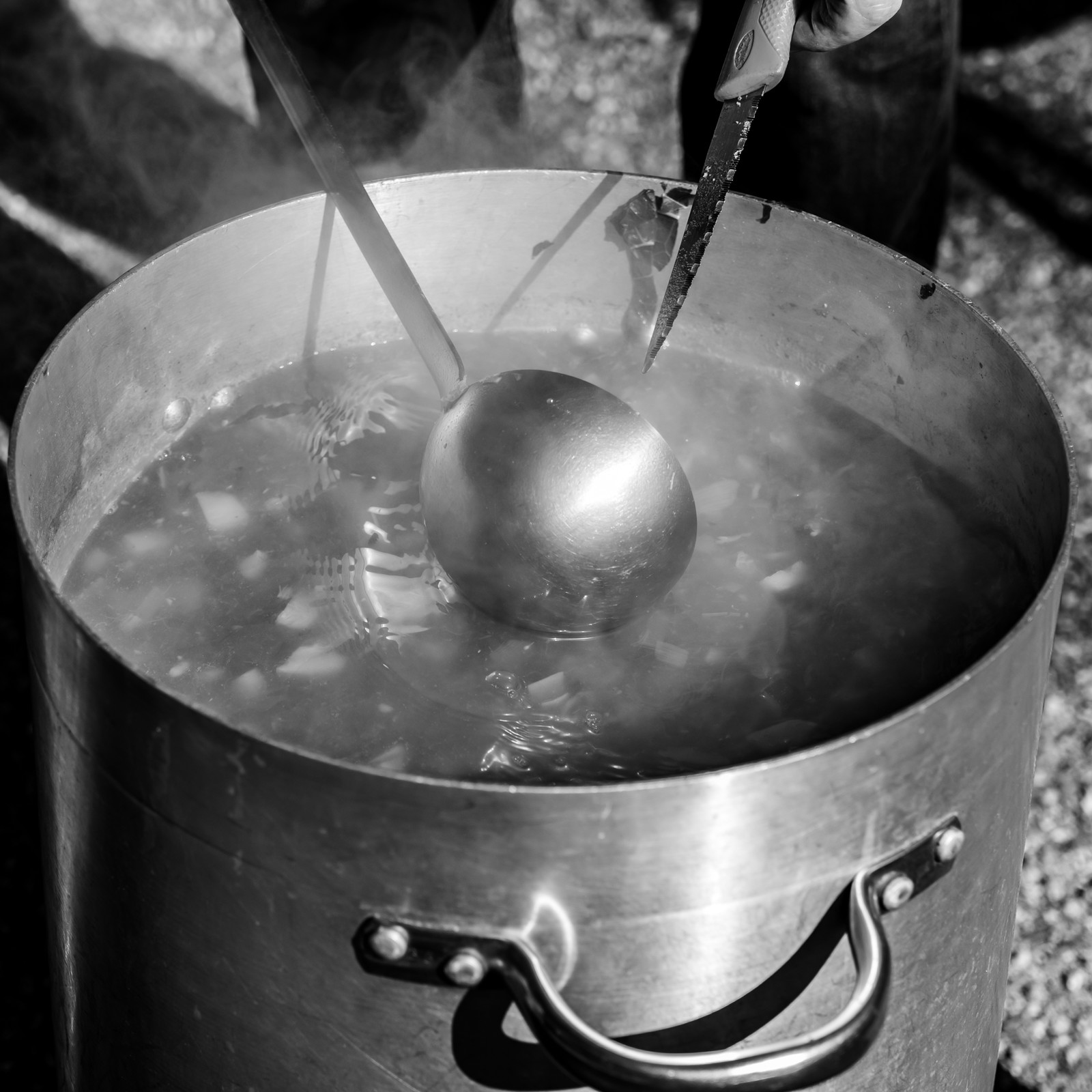 10 octobre 2025 : Journée des aidants