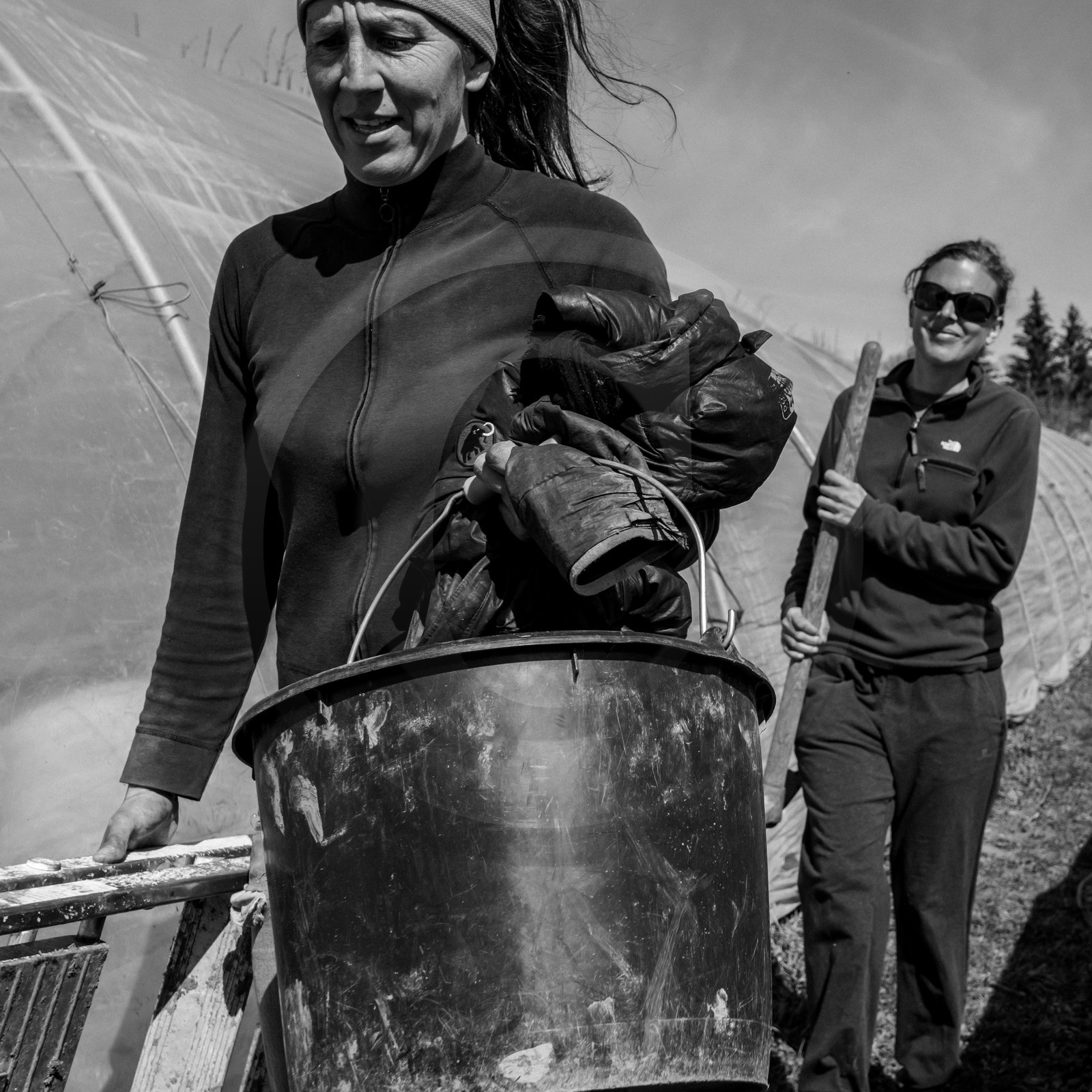 Montage de serres tunnel