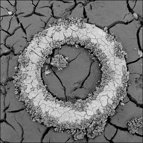 Serre-Ponçon, basses eaux