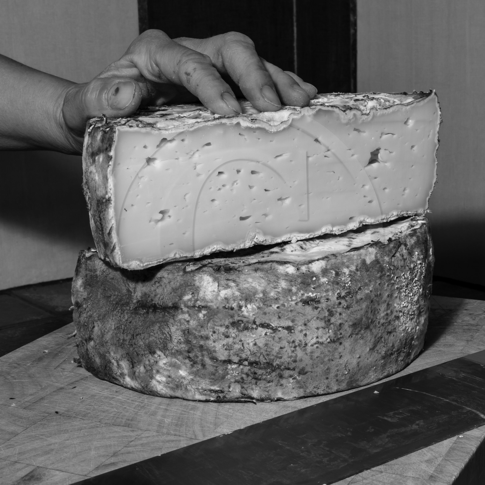 Le GAEC des Counières