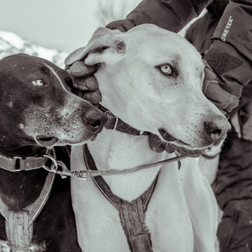 La Valgaude Traineau 2015