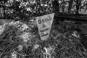 15 mai 2023 : Journée des aidants et des aidés