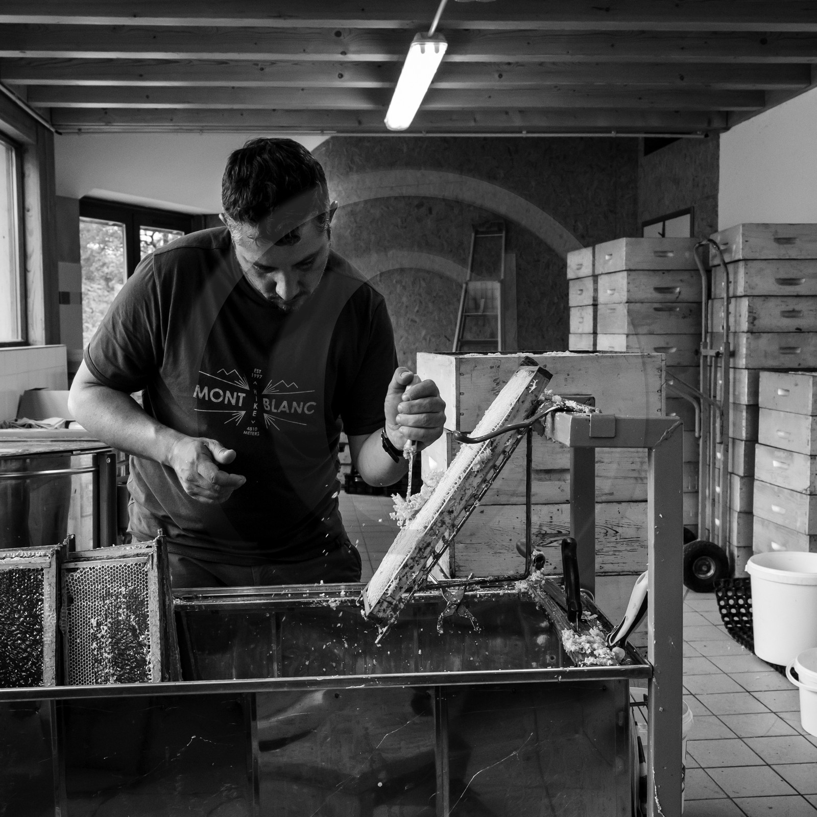 L'extraction du miel