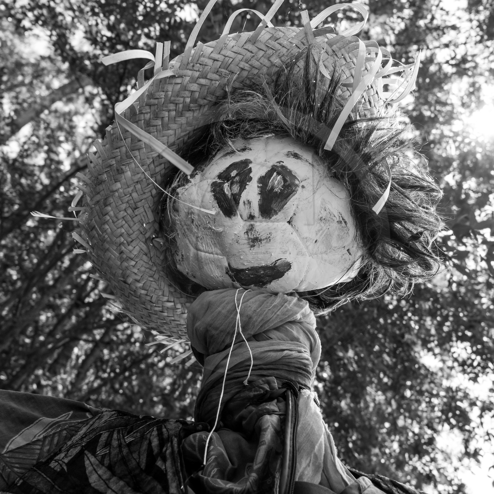 23 août 2017 - Animations 23 août 2017 - Animations