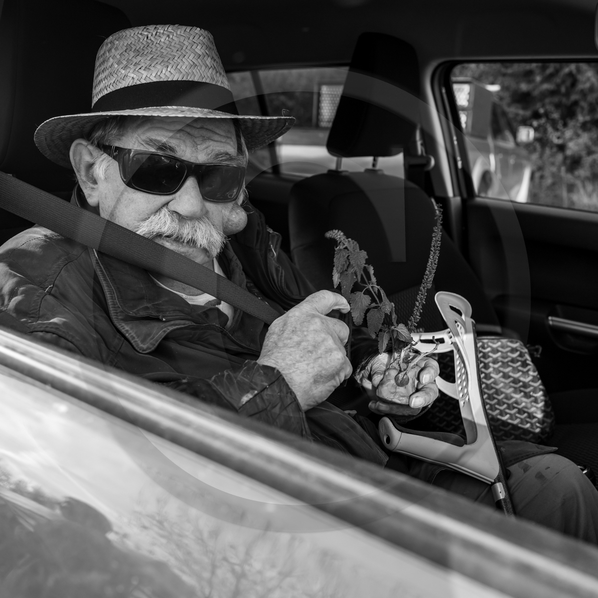 26 octobre 2022 : dernier mercredi de la saison à l'Ouort 26 octobre 2022 : dernier mercredi de la saison à l'Ouort