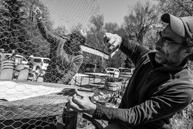 25 avril 2025 : Journée des Aidants