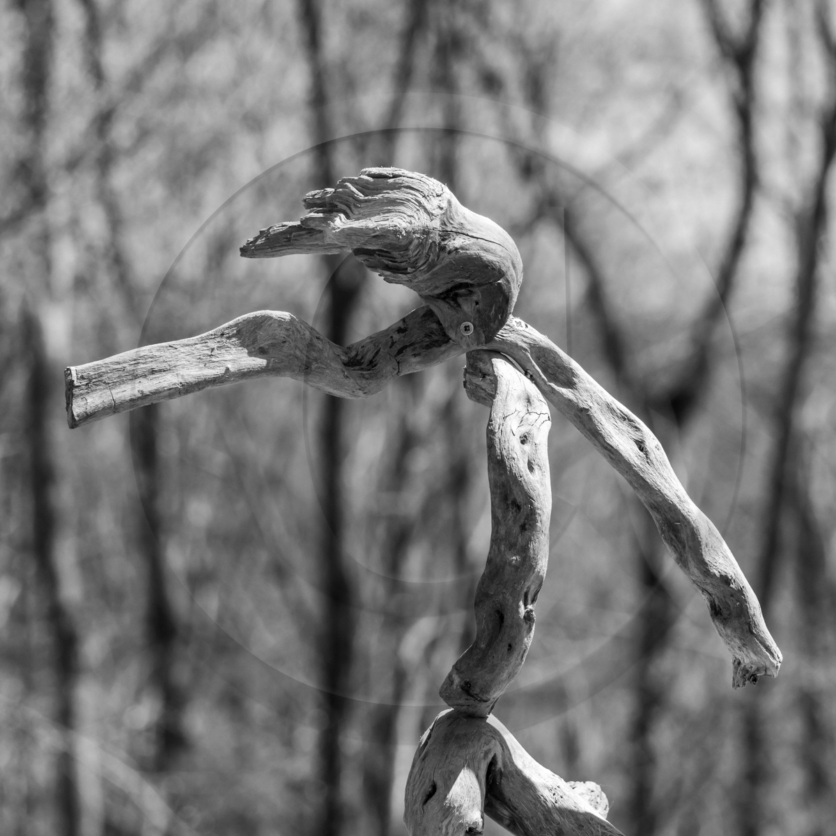 Atelier laine et promenade au jardin