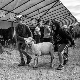 Rencontres paysannes à Saint-Bonnet en Champsaur