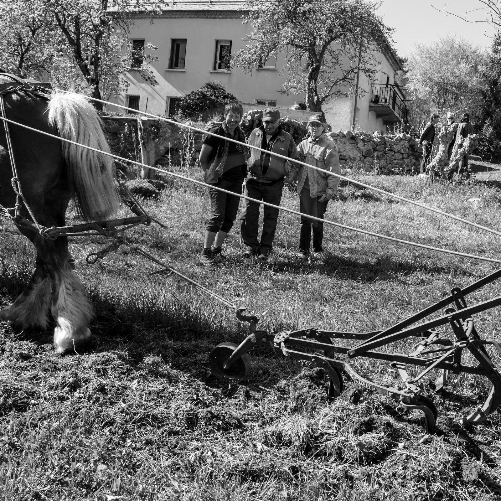 L'Ouort de Bénévent - 17 avril 2017