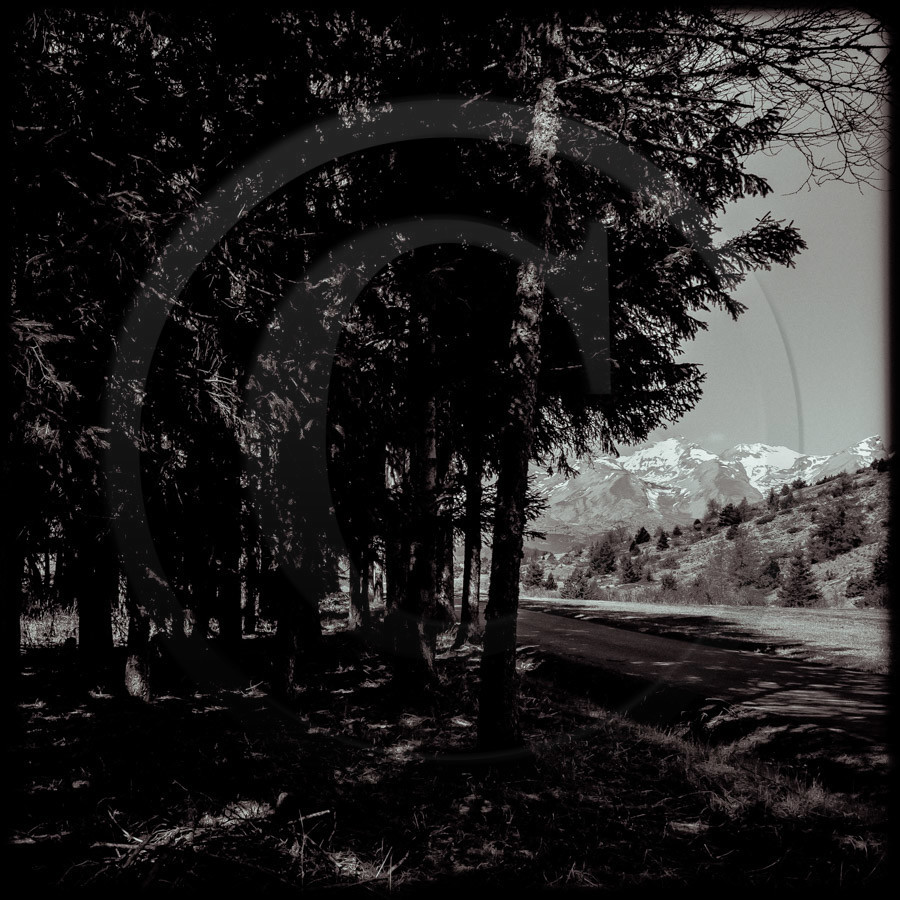 Promenade en forêt Promenade en forêt