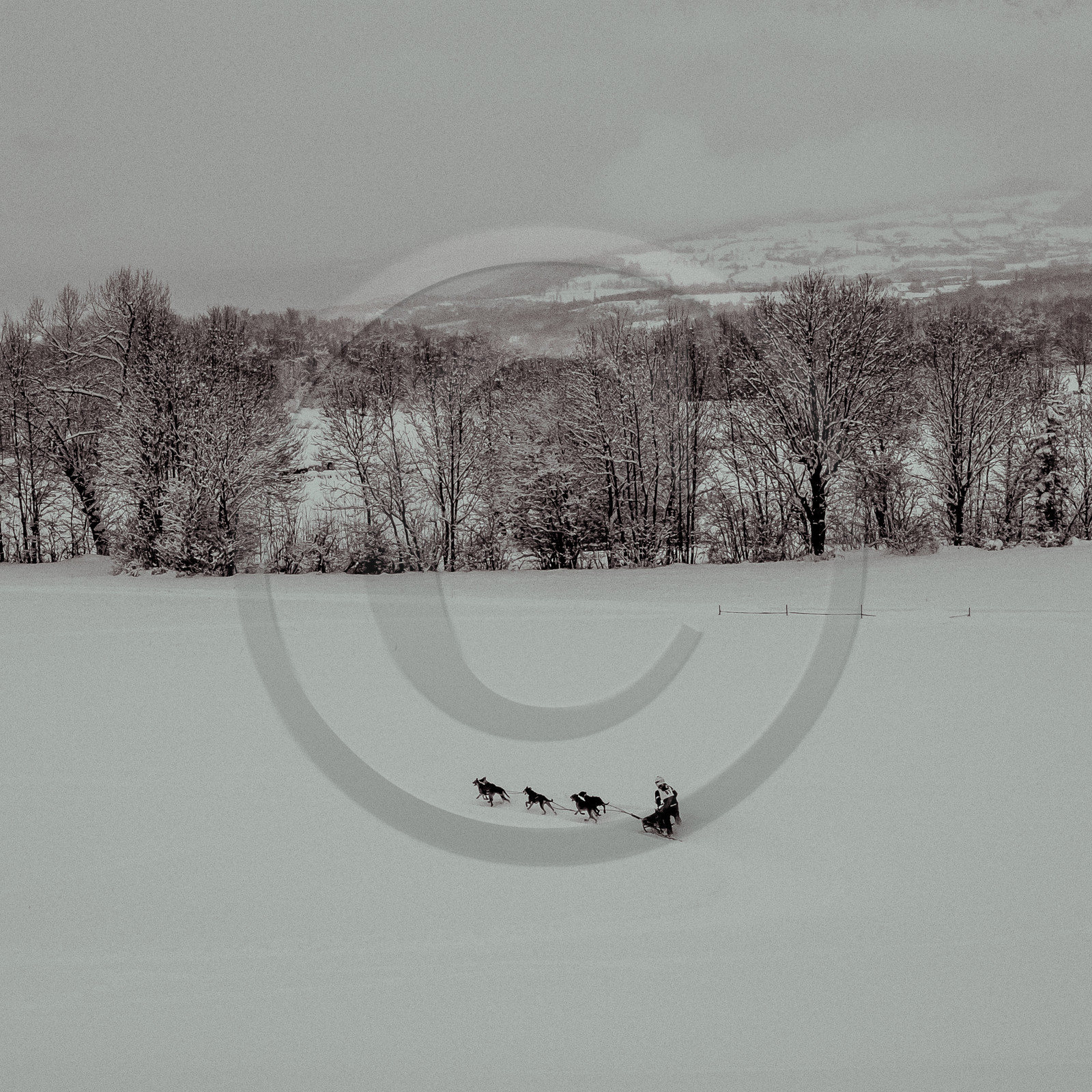 La Valgaude Traineau 2015 La Valgaude Traineau 2015