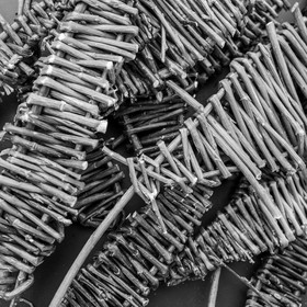 30 avril 2025 : Un oiseau en osier