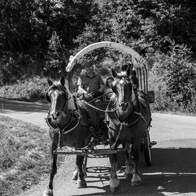 01 septembre 2021 : Promenade en cariole et contes